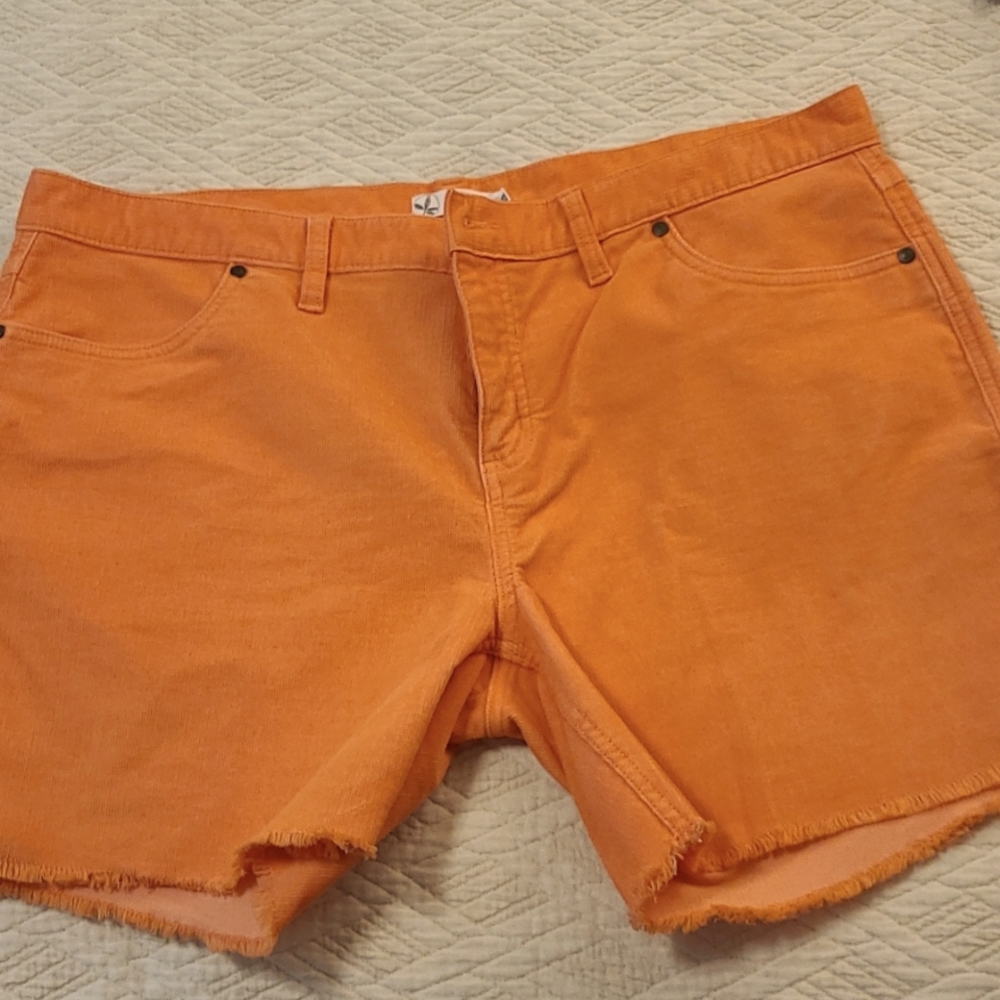 Carve Design Oahu Hi Rise 6" Short: Papaya size 14